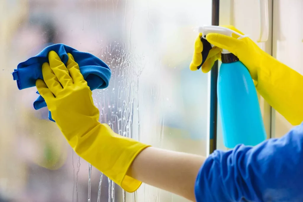 Home Cleaning Services in Annapolis, MD